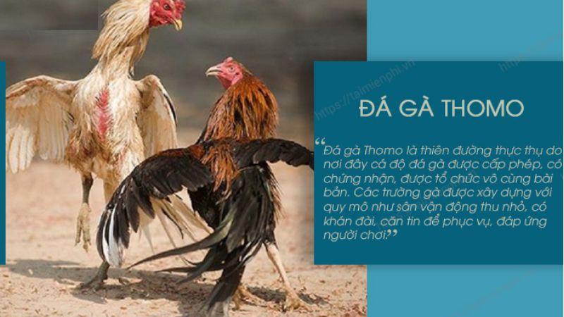 Dự đoán từ chuyên gia