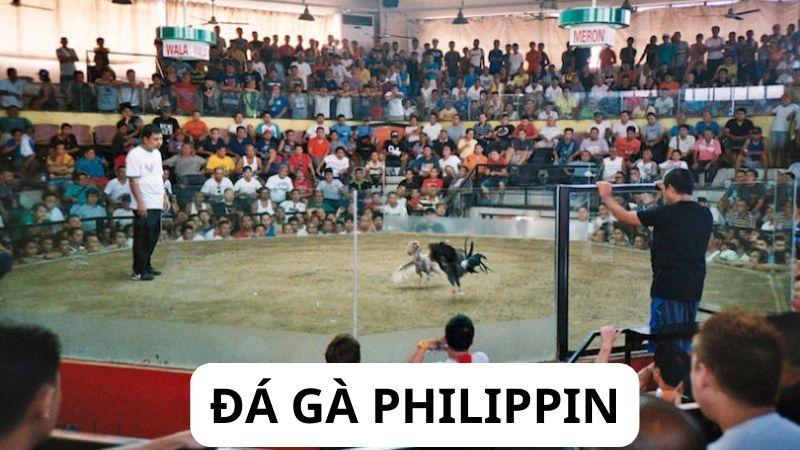 Đa dạng các loại Đá Gà Philippines